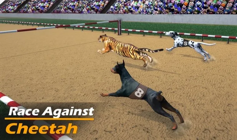 Giao diện chơi game nhanh Đua Chó tại K9WIN