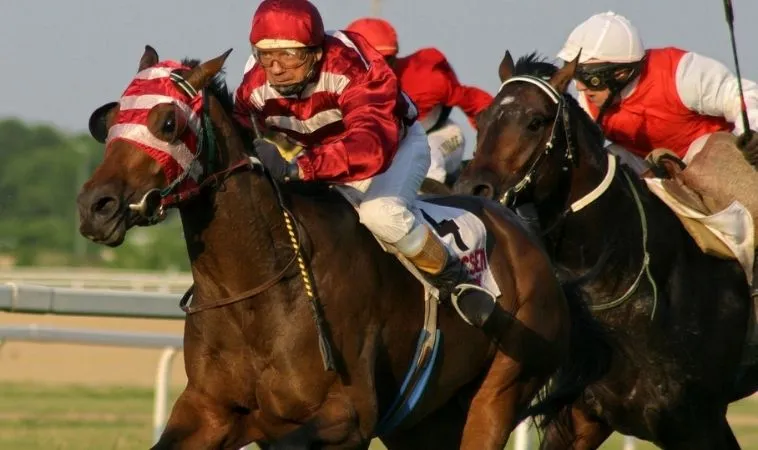 Cần tìm hiểu kỹ về ngựa chiến trước khi cá cược đua ngựa K9WINa