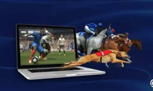 thể thao ảo K9WIN